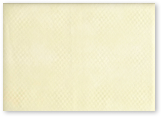 不織布テーブルマット　アイボリー