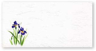 ミニマット　菖蒲