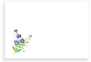 ランチョンマット　通販　販売　桔梗